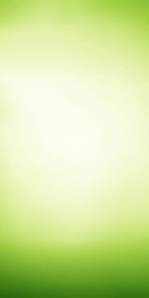 CLICK 300X600